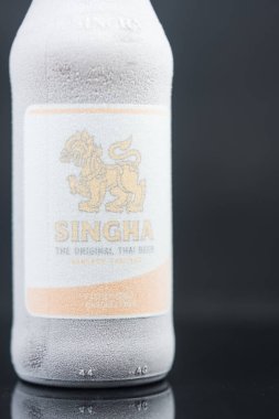 Bangkok, Tayland - 11 Eylül 2025: Buzdolabından soğuk bira şişesine yapışmış buz kristalli Singha birası şişesine yaklaş. Bu, ülkede çok popüler bir yerel bira..