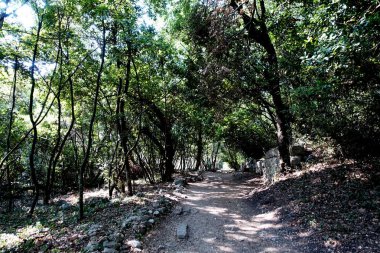 Arnavutluk 'taki antik Yunan kenti Butring' in kalıntıları arasında yürüyorum