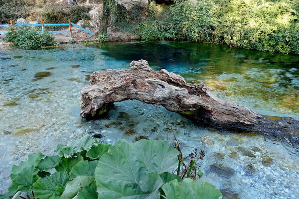 A rare geological object - the source of the "Blue Eye" in the south of Albania has an unusual color - in the center of the source the water is dark blue, and along the edges of bright blue