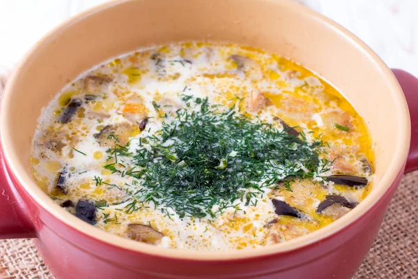 Додайте Зелень Сковороді Супу Додайте Кріп Супу Підготовка — стокове фото