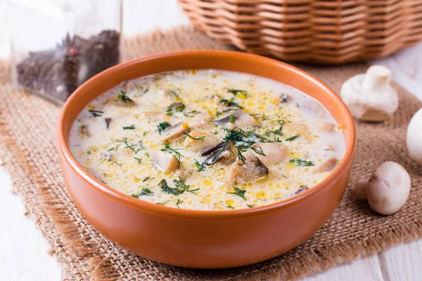 Soup Eggplants Mushrooms Creamy Soup Vegetables — Stock Photo, Image