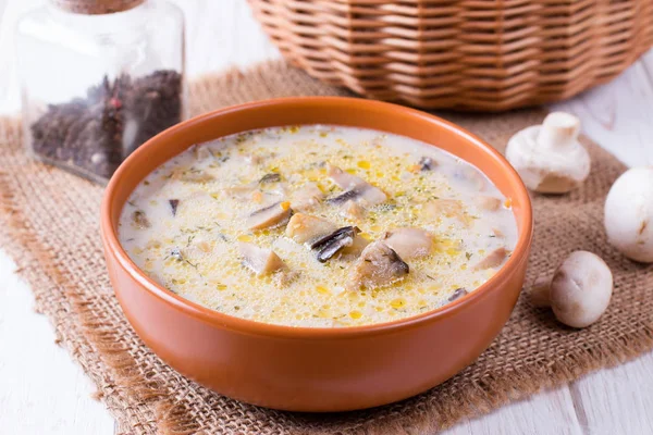 Soup Eggplants Mushrooms Creamy Soup Vegetables — Stock Photo, Image