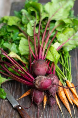 Tahta arka planda taze havuç ve pancar. Pişirmek için taze sebze.