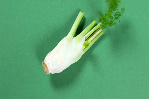 Fänkål Färg Bakgrund Vegetariskt Hälsosamt Matkoncept — Stockfoto