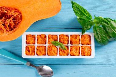 Ice Cube tepsisiyle Bebek Katı Gıda Depolamanın Basit yolu. Beslenme yemeği. Bebek maması..