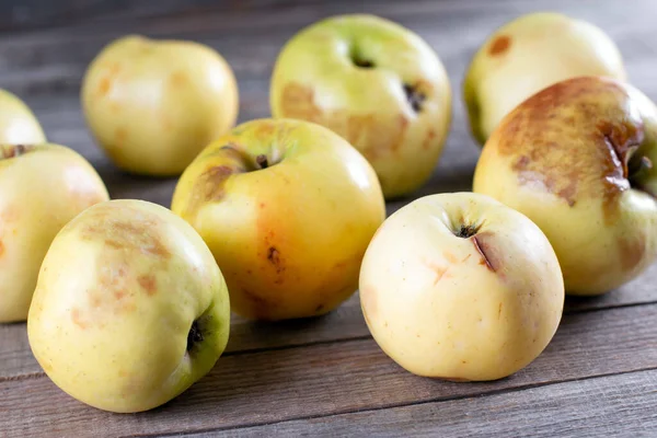 Маленькі Яблука Потворні Але Добрі Гниле Яблуко Дерев Яному Фоні — стокове фото