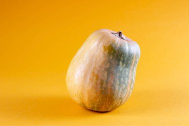 Turuncu arka planda balkabağı, kopyalama alanı. Kompozisyon balkabağı, kabak kabağı maketi. Balkabağı modern trend sonbahar arka planı.