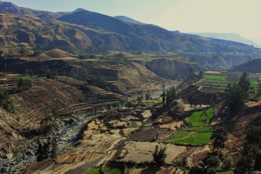 Arequipa, Peru 'da bulunan colca kanyonunun manzarası; güneş ışığı yeşil tarım alanlarını aydınlatır.