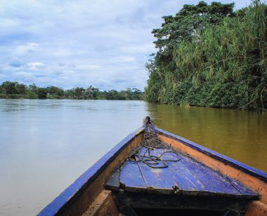 Peru ormanında nehirdeki teknenin bir parçası. Nehrin kenarında bitkiler var ve tekne renkli..