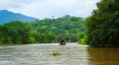 Nehrin ortasında bir grup insanla birlikte giden bir tekne manzarası. Nehrin kenarlarında yeşil bitkiler var..