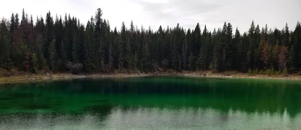 Green Lake with Forest Valley of Five Lakes Jasper, Alberta — Stock Photo, Image