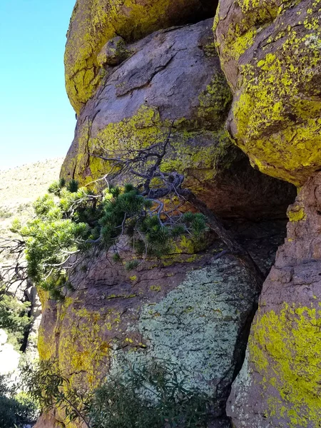 Chiracahua National Monument Hoodoos met veelkleurige Lichamen — Stockfoto