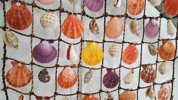 Coquillages colorés suspendus sur un filet de pêche — Photo