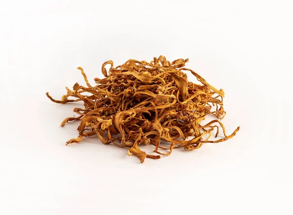 Beyaz arka planda bir grup kurumuş Cordyceps askeri