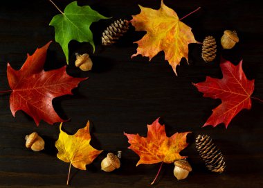 yeşil, sarı, turuncu ve kırmızı akçaağaç yaprakları meşe palamudu ve çam kozalakları ile ahşap surfac üzerinde daire çiziyor.