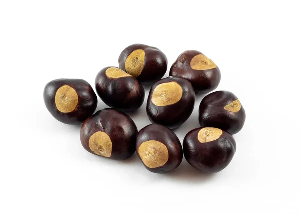 Groupe Marrons Inde Conkers Sur Fond Blanc — Photo