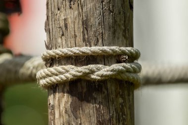 Bir ip ve bir düğüm bir parça tahta üzerinde