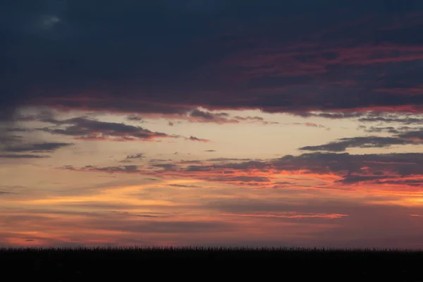 Pôr Sol Romântico Com Silhueta Preta Primeiro Plano — Fotografia de Stock