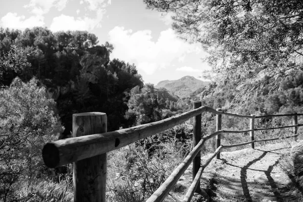Hiking trail through a nature park, black and white