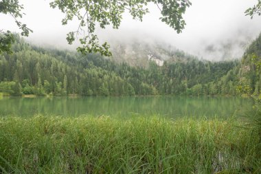 Avusturya Gleinkersee doğa ateş