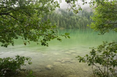 Avusturya Gleinkersee doğa ateş