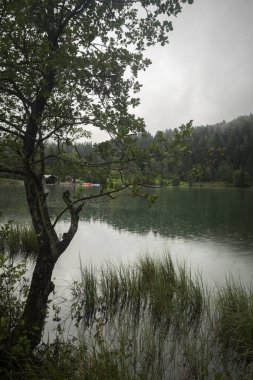 Avusturya Gleinkersee doğa ateş