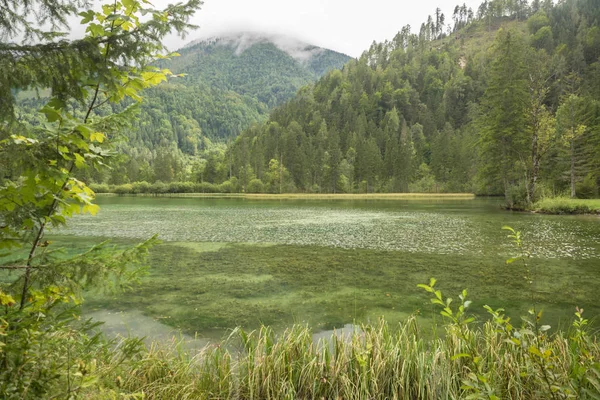 Schiederweiher Bellissimo Lago Austria Vicino Hinterstoder — Foto Stock