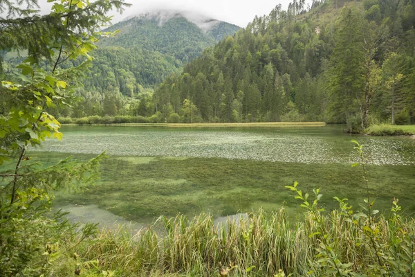 Schiederweiher Krásné Jezero Rakousku Poblíž Hinterstoder — Stock fotografie