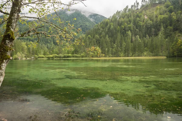 Schiederweiher Belo Lago Áustria Perto Hinterstoder — Fotografia de Stock