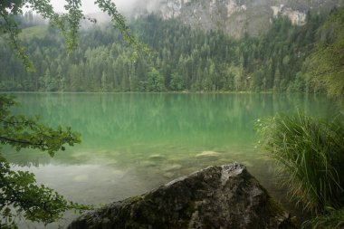 Avusturya Gleinkersee Doğa Göl ateş