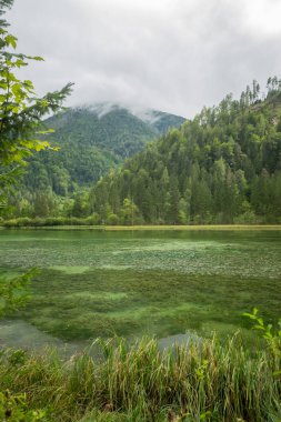 Schiederweiher, Avusturya Hinterstoder yakınındaki güzel göl