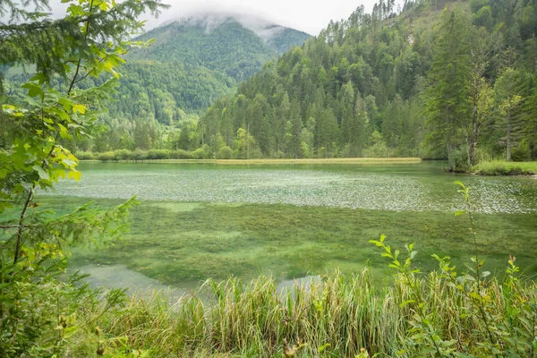 Schiederweiher Krásné Jezero Rakousku Poblíž Hinterstoder — Stock fotografie