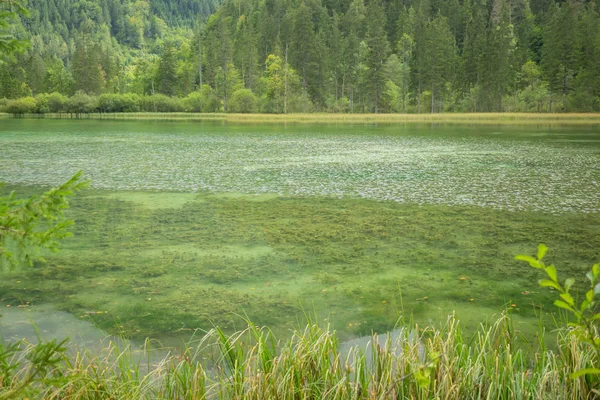 Schiederweiher Belo Lago Áustria Perto Hinterstoder — Fotografia de Stock
