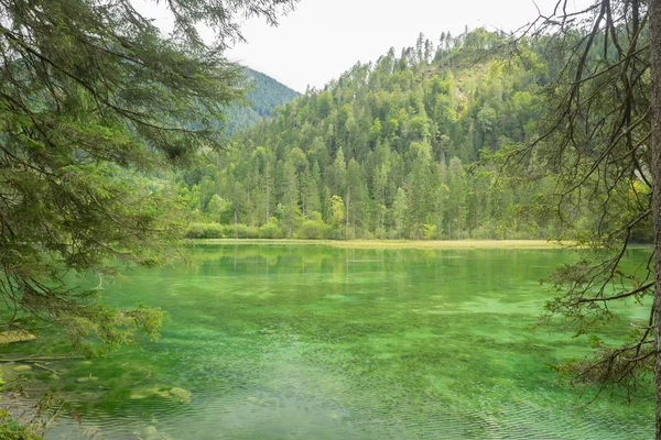 Schiederweiher Krásné Jezero Rakousku Poblíž Hinterstoder — Stock fotografie