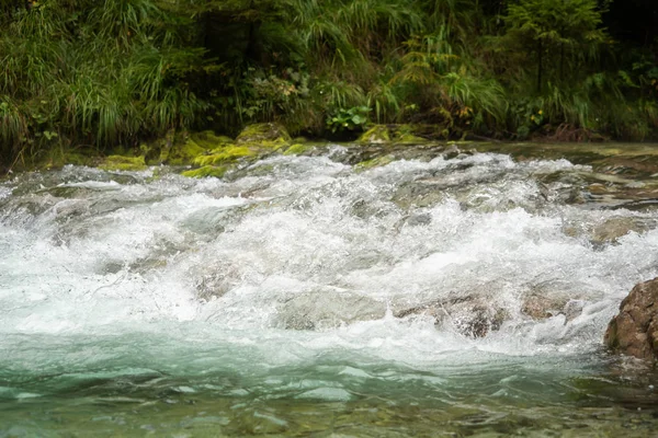 Rio Águas Claras Flui Rápido — Fotografia de Stock