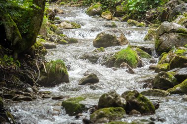 Peyzaj sahne, Avusturya'da bir su geçit