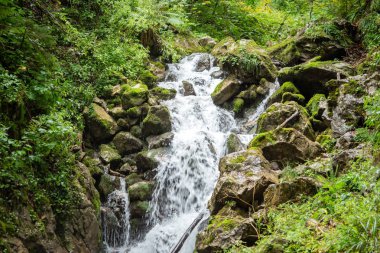 Avusturya'da bir geçit etkileyici bir şelale