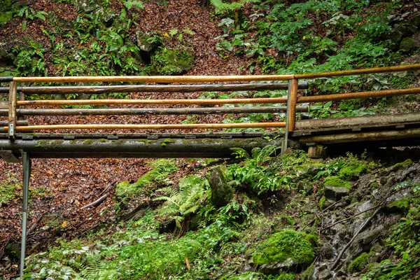 Escaliers Bois Travers Une Gorge Eau Autriche — Photo