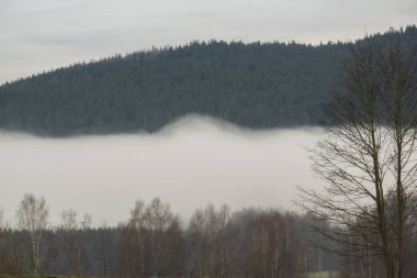 Sis ve dağ ve orman manzaralı bir manzara