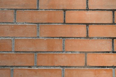 Arka plan olarak kırmızı tuğla bir duvar