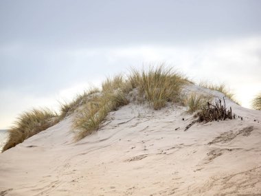 Helgoland adasındaki kum manzarası