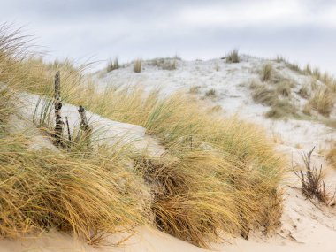 Dune landscape on the island Helgoland clipart