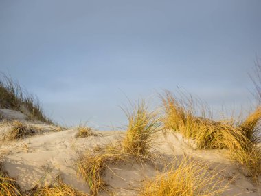 Helgoland adasındaki kum manzarası