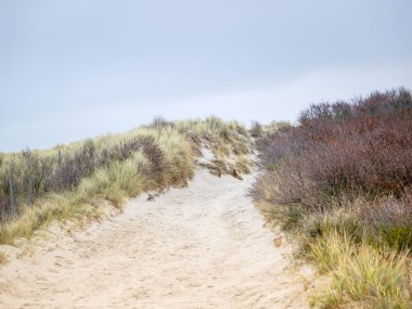 Helgoland adasındaki kum manzarası
