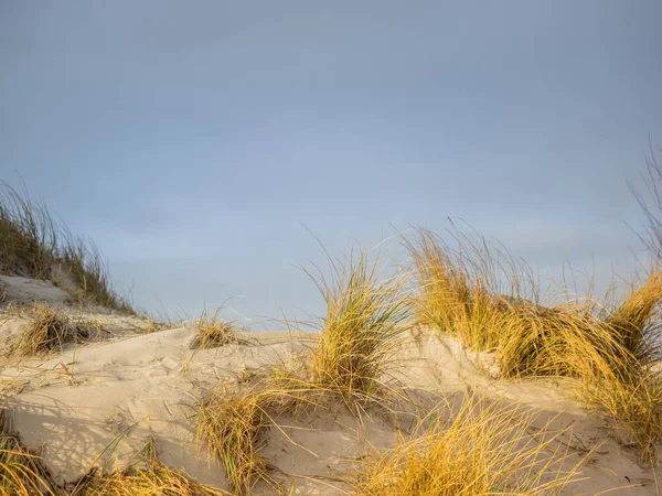 Helgoland adasındaki kum manzarası