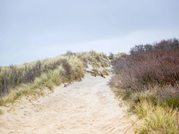 Helgoland adasındaki kum manzarası