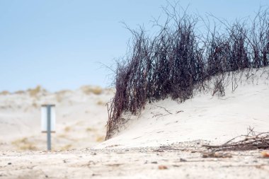 Helgoland adasındaki kum manzarası