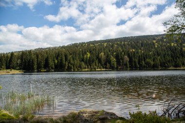 Bavyera 'daki küçük Arbersee' de manzara