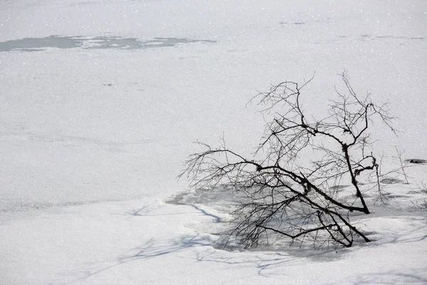Зимовий Пейзаж Маленькому Арберзі Баварії — стокове фото
