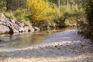 Avusturya 'da güzel, berrak bir nehir